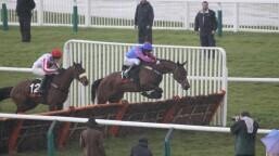 Fred Winter Juvenile Handicap Hurdle Preview, Tips, Runners & Trends (Cheltenham Festival)