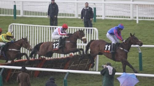Racecourse Review - Fontwell Park