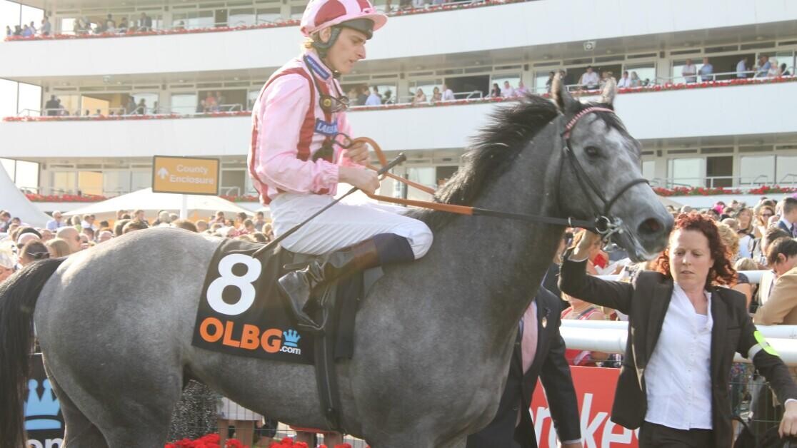 2000 Guineas Preview, Tips, Runners & Trends (Guineas Festival) 2000 Guineas Preview, Tips, Runners & Trends (Guineas Festival)