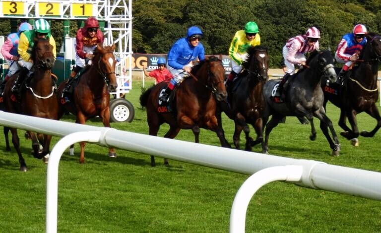 Molecomb Stakes Preview, Tips, Runners & Trends (Glorious Goodwood)