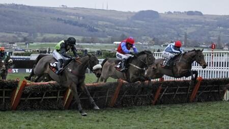 Coral Cup Preview, Tips, Runners & Trends (Cheltenham Festival)