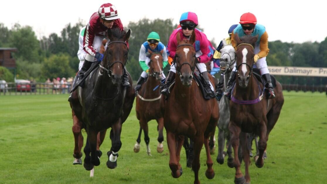 Dubai Sheema Classic Preview, Tips, Runners & Trends (Dubai World Cup Night) Dubai Sheema Classic Preview, Tips, Runners & Trends (Dubai World Cup Night)