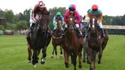 Dubai Sheema Classic Preview, Tips, Runners & Trends (Dubai World Cup Night)