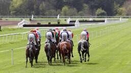 Preis der Diana - German Oaks Preview, Tips, Runners & Trends