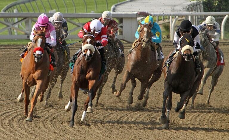 Belmont Stakes Betting Guide: Strategies, Statistics & Picks (Belmont Stakes Racing Festival)