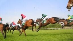 Drinmore Novice Chase Preview, Tips, Runners & Trends (Winter Festival)