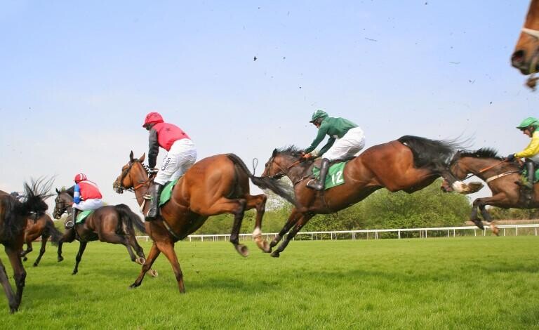 Coral Gold Cup Preview, Tips, Runners & Trends