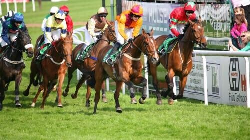 Racehorse Lotto Handicap Preview, Tips, Runners & Trends (Derby Festival)