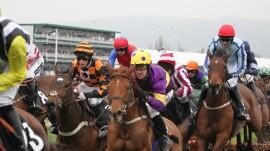 Punchestown Festival Friday Preview & Trends