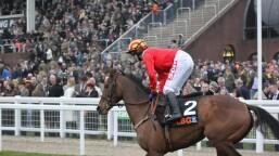 John Durkan Memorial Chase Preview, Tips, Runners & Trends