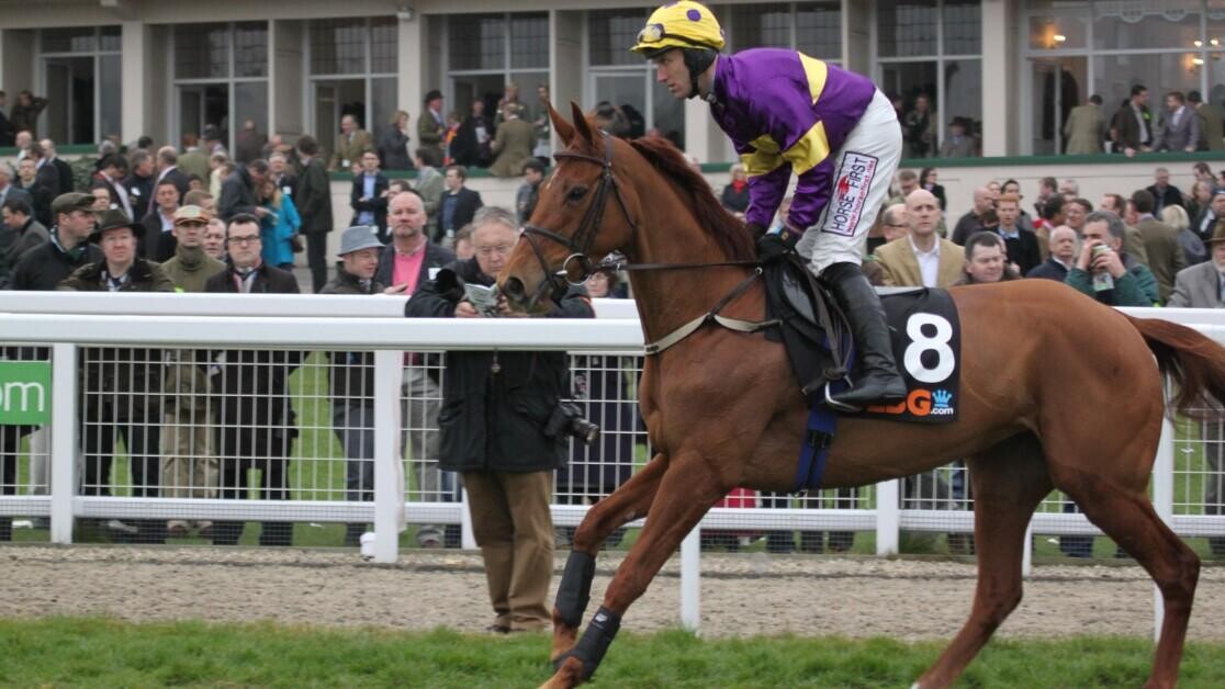 Kauto Star Novices Chase Preview, Tips, Runners & Trends Kauto Star Novices Chase Preview, Tips, Runners & Trends