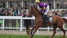 Kauto Star Novices Chase Preview, Tips, Runners & Trends