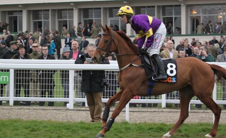 Kauto Star Novices Chase Preview, Tips, Runners & Trends
