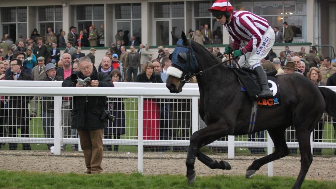 Blinkers on for the 1st time - How to Increase the Profit Blinkers on for the 1st time - How to Increase the Profit