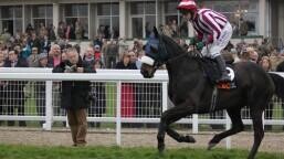 Blinkers on for the 1st time - How to Increase the Profit