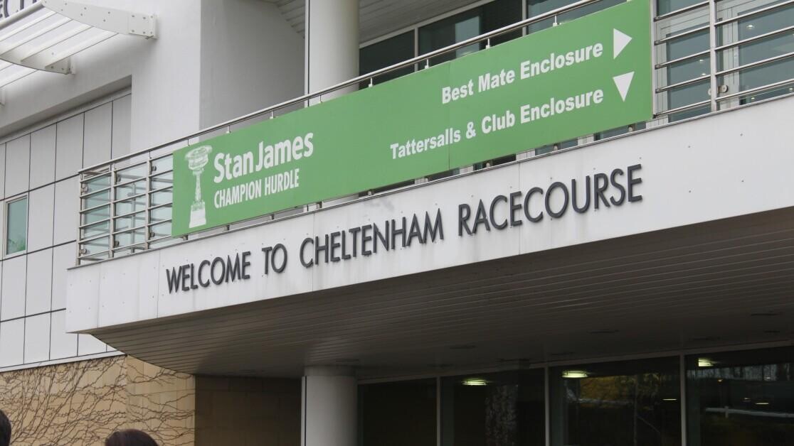 Cheltenham Novice Hurdlers Breeding & Pedigree Guide Cheltenham Novice Hurdlers Breeding & Pedigree Guide