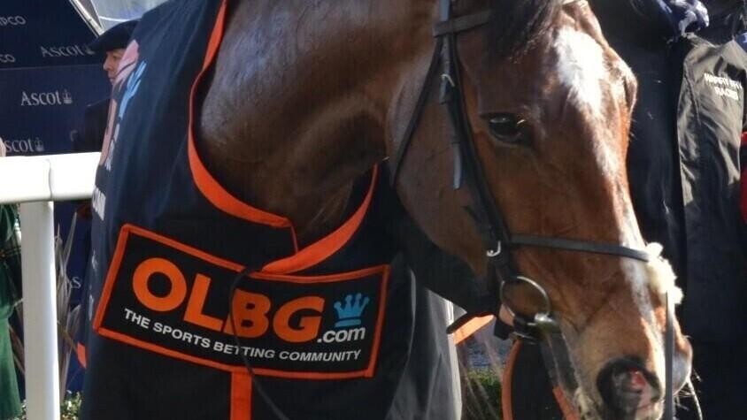 Victoria Cup Preview, Tips, Runners & Trends Victoria Cup Preview, Tips, Runners & Trends