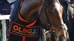 Victoria Cup Preview, Tips, Runners & Trends