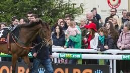 Scottish County Handicap Hurdle Preview, Tips, Runners & Trends (Scottish Cheltenham Trials)