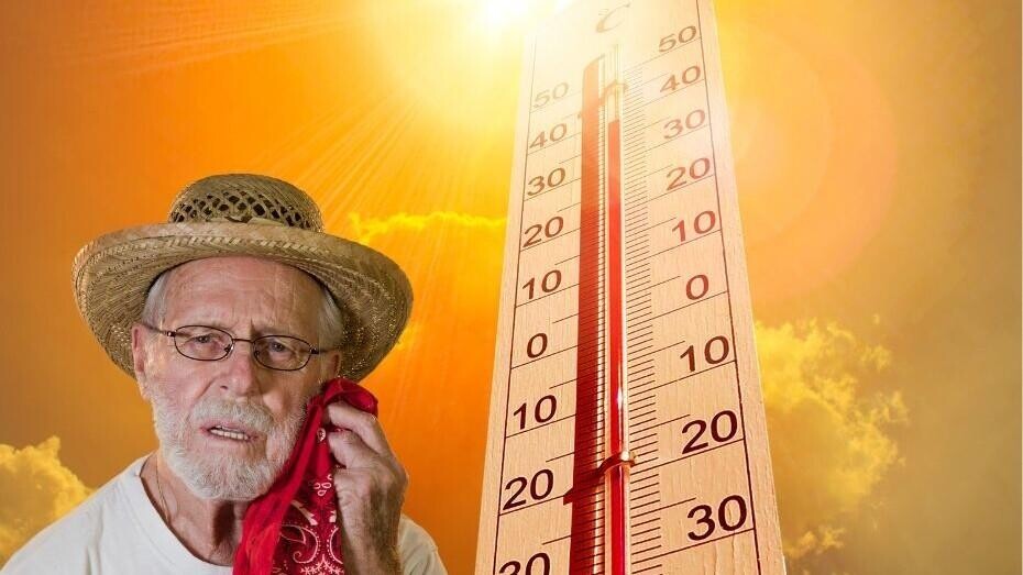 The Sun is Out and Bookies are Betting on the Warmest Year on Record The Sun is Out and Bookies are Betting on the Warmest Year on Record
