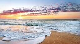 3/1 for 2022 to be warmest year ON RECORD with heat waves around the world!