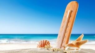 UK Weather Betting Specials: June Heatwave on the cards with 4/1 chance the UK records its hottest June day EVER!