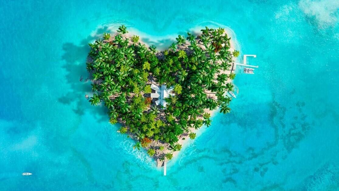 Love Island Betting Odds: Jacques O'Neill 1/3 to beat bombshell Jay Younger in a BOXING BOUT after beef in the Villa! Love Island Betting Odds: Jacques O'Neill 1/3 to beat bombshell Jay Younger in a BOXING BOUT after beef in the Villa!