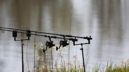 Fish O Mania 2022 Betting Odds: Defending Champion Harry Bignell is 16/1 to win this year's Fish O Mania!