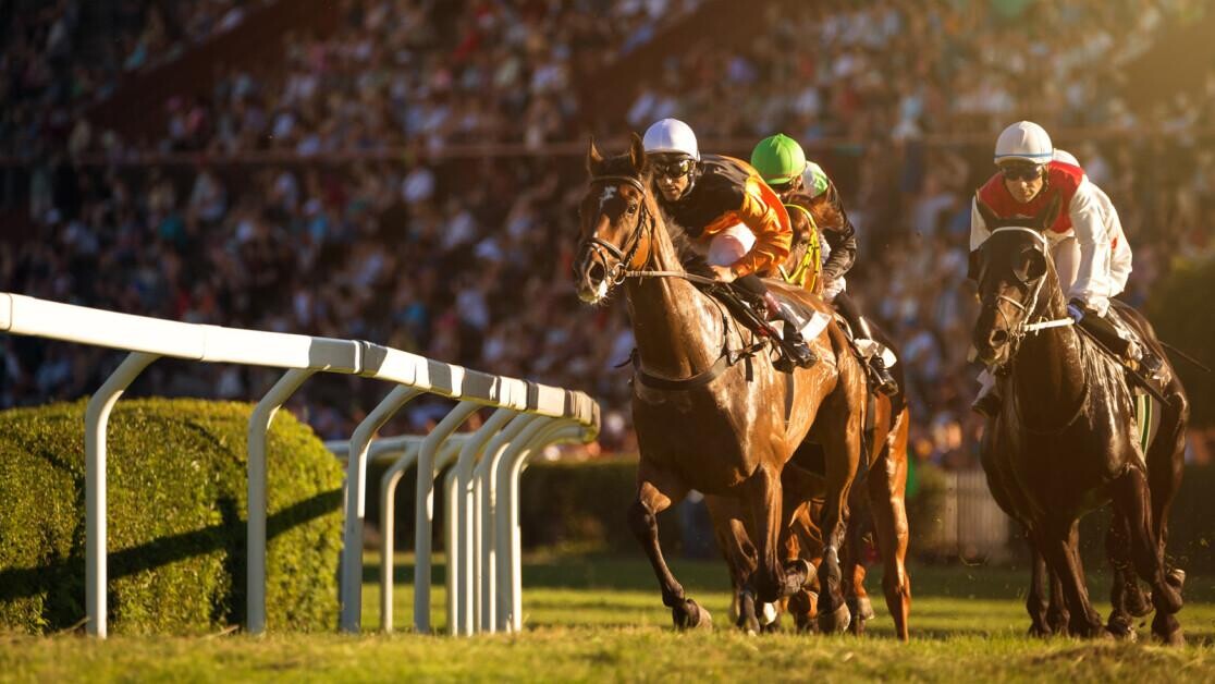 Horse Racing Form Reading Made Easy & What to Look For Horse Racing Form Reading Made Easy & What to Look For