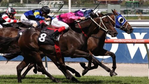 Melbourne Cup Betting Offers - Which One to Choose