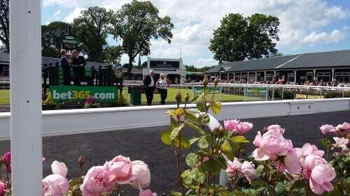 UTTOXETER RACECOURSE REVIEW