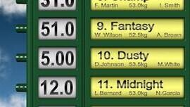 Understanding a Horses Weight Understanding a Horses Weight