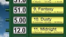 Understanding a Horses Weight