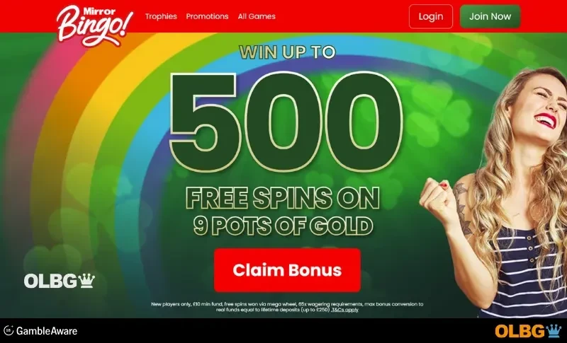 mirror bingo welcome bonus screenshot