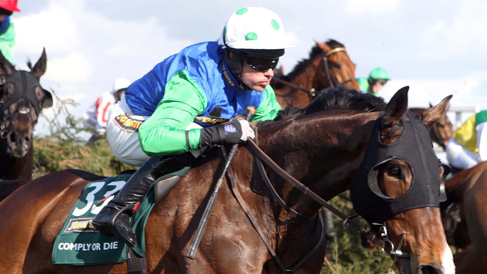Grand National 2008