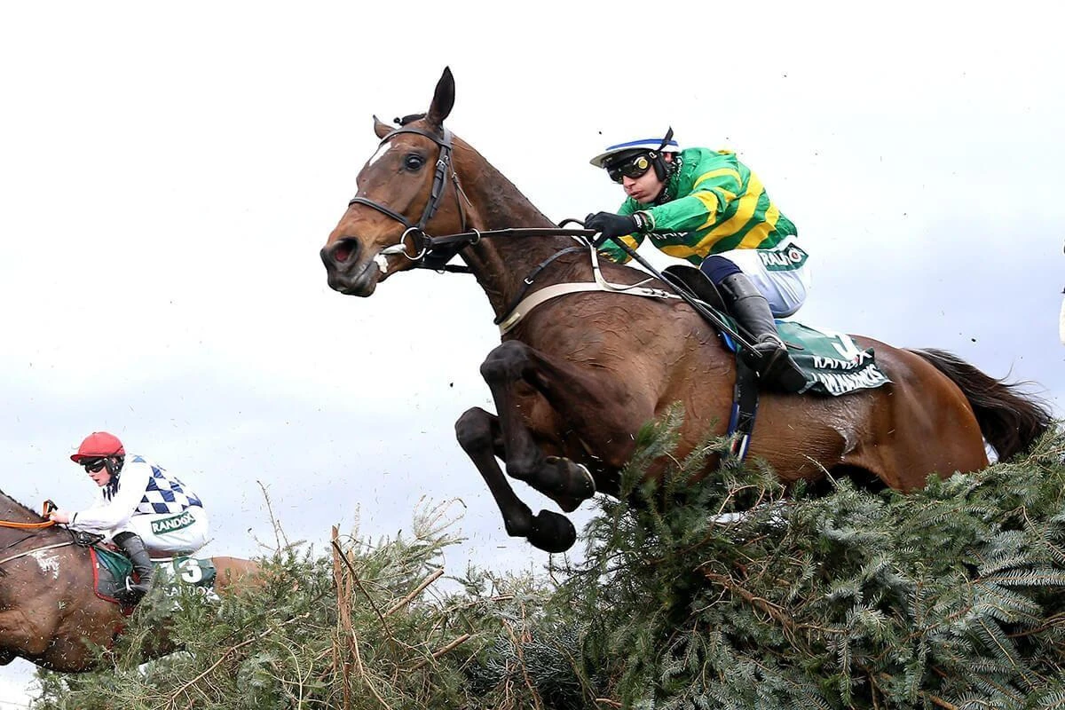 2024 Grand National review