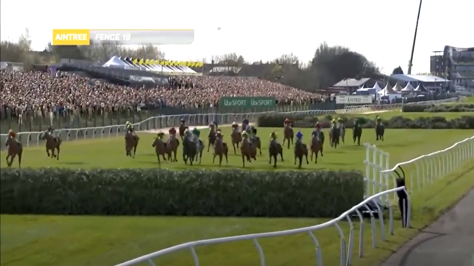 Virtual 2020 Grand National