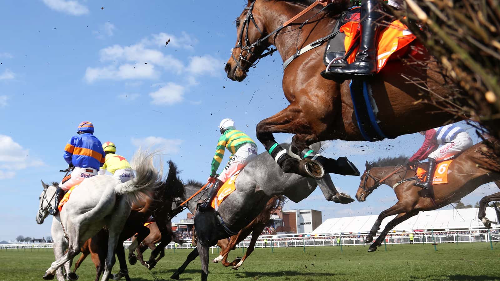 Grand National 2010