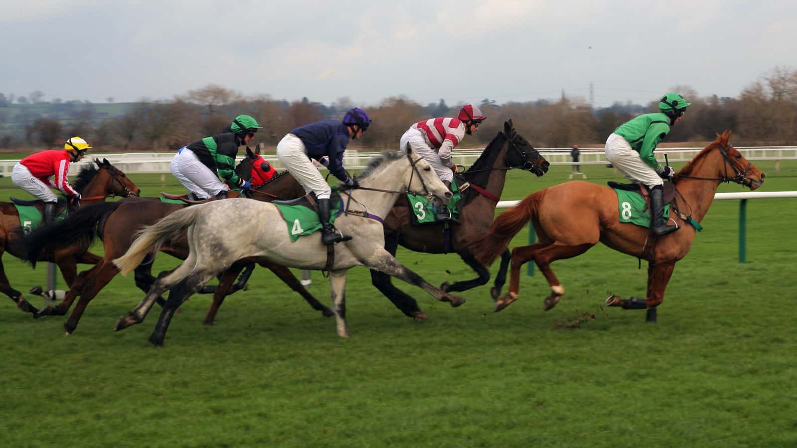 Grand National Pictorial Guide