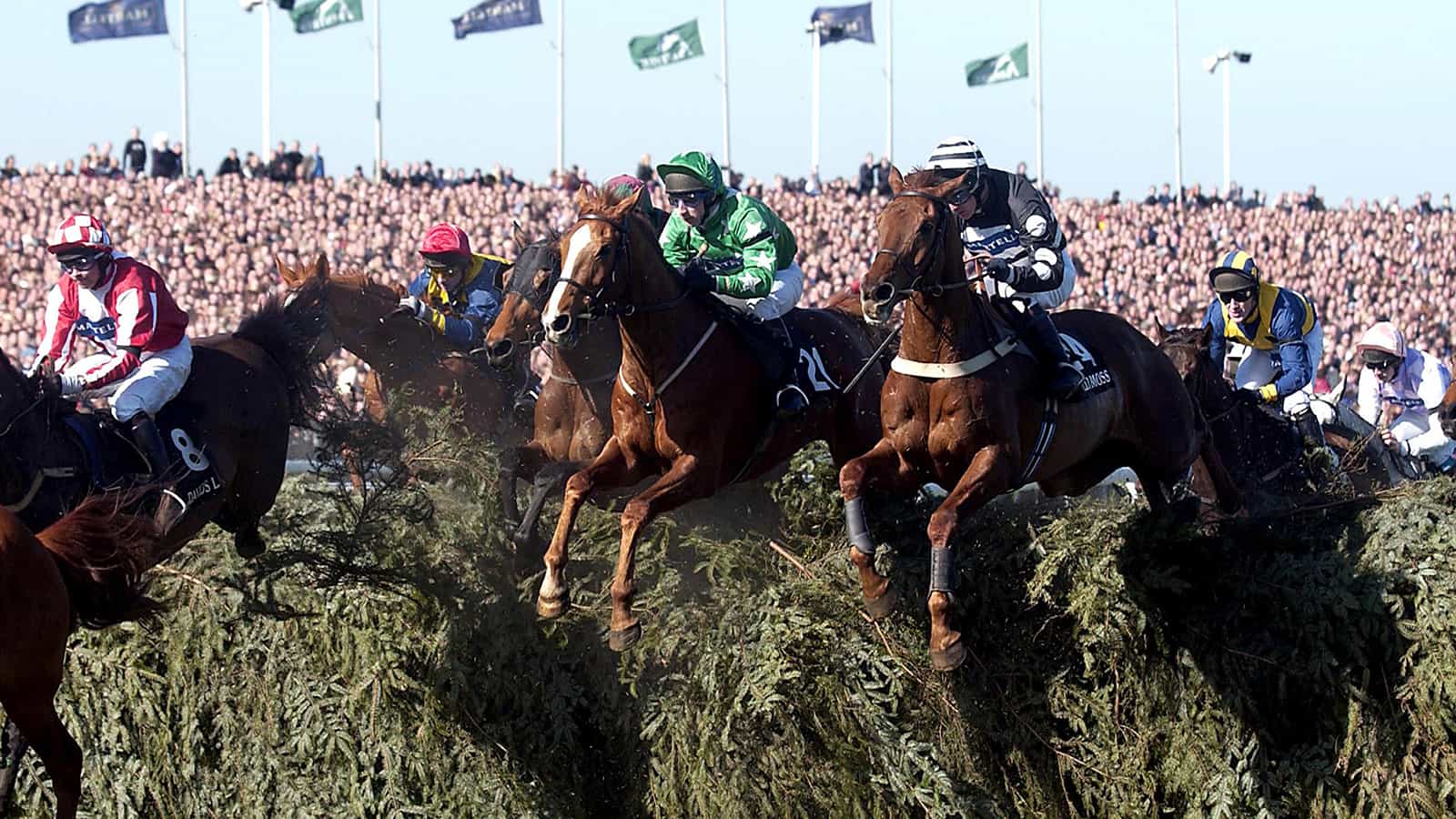 2023 Grand National Review
