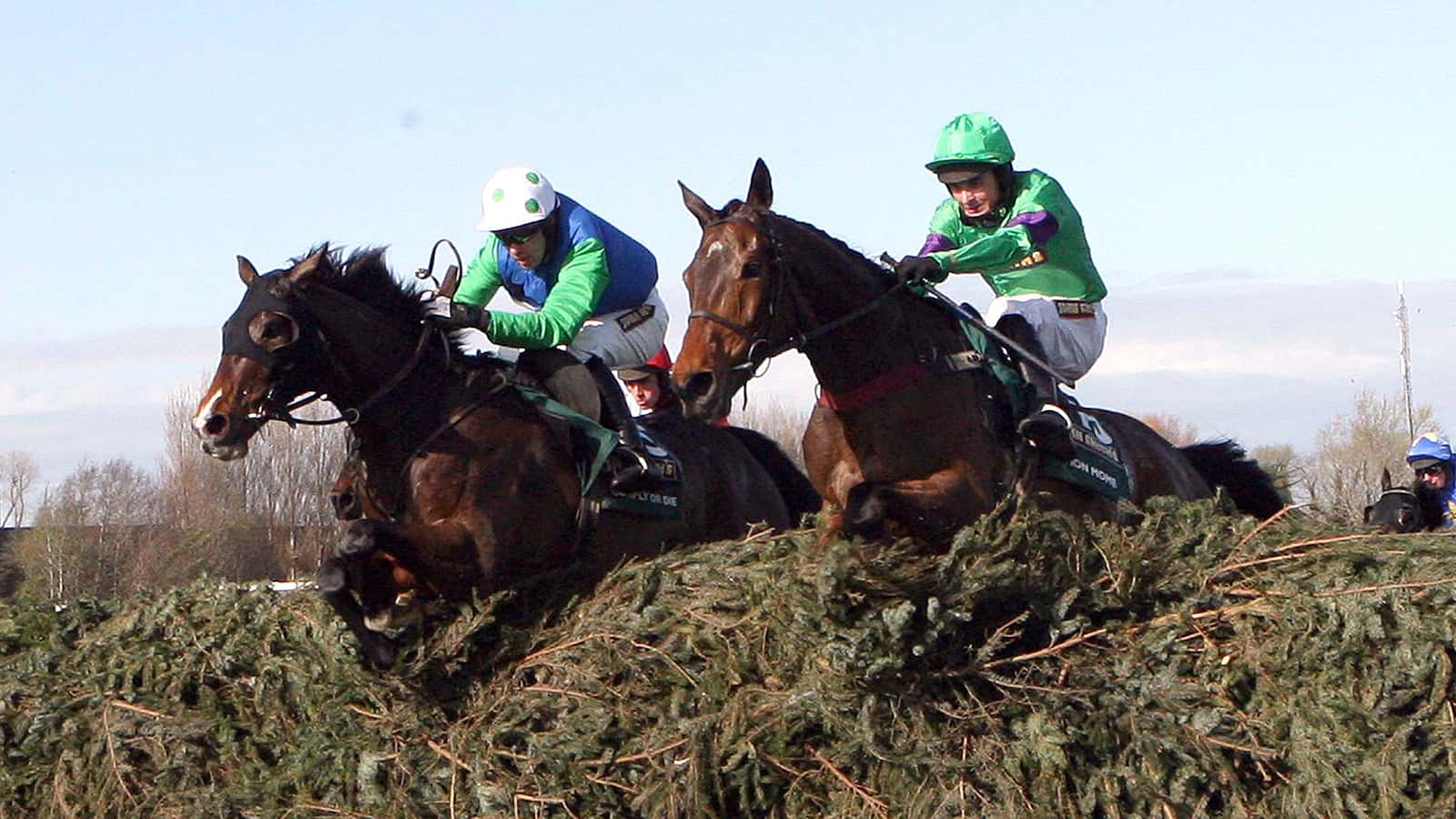 Grand National 2009