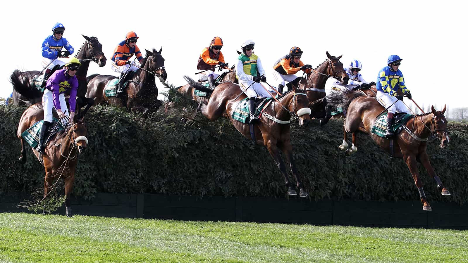 2011 Grand National