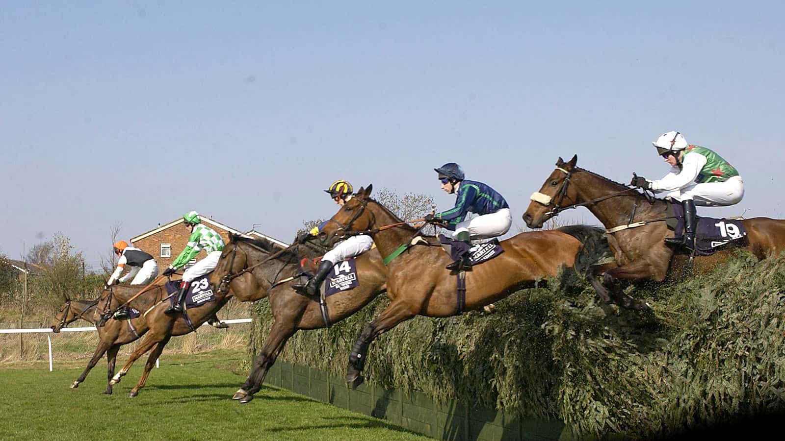 Grand National 2000