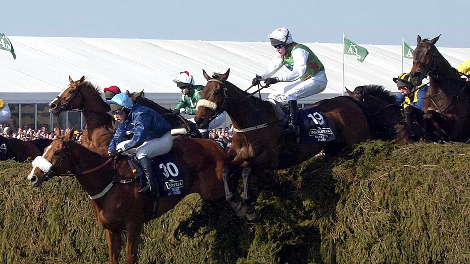 Grand National 2003