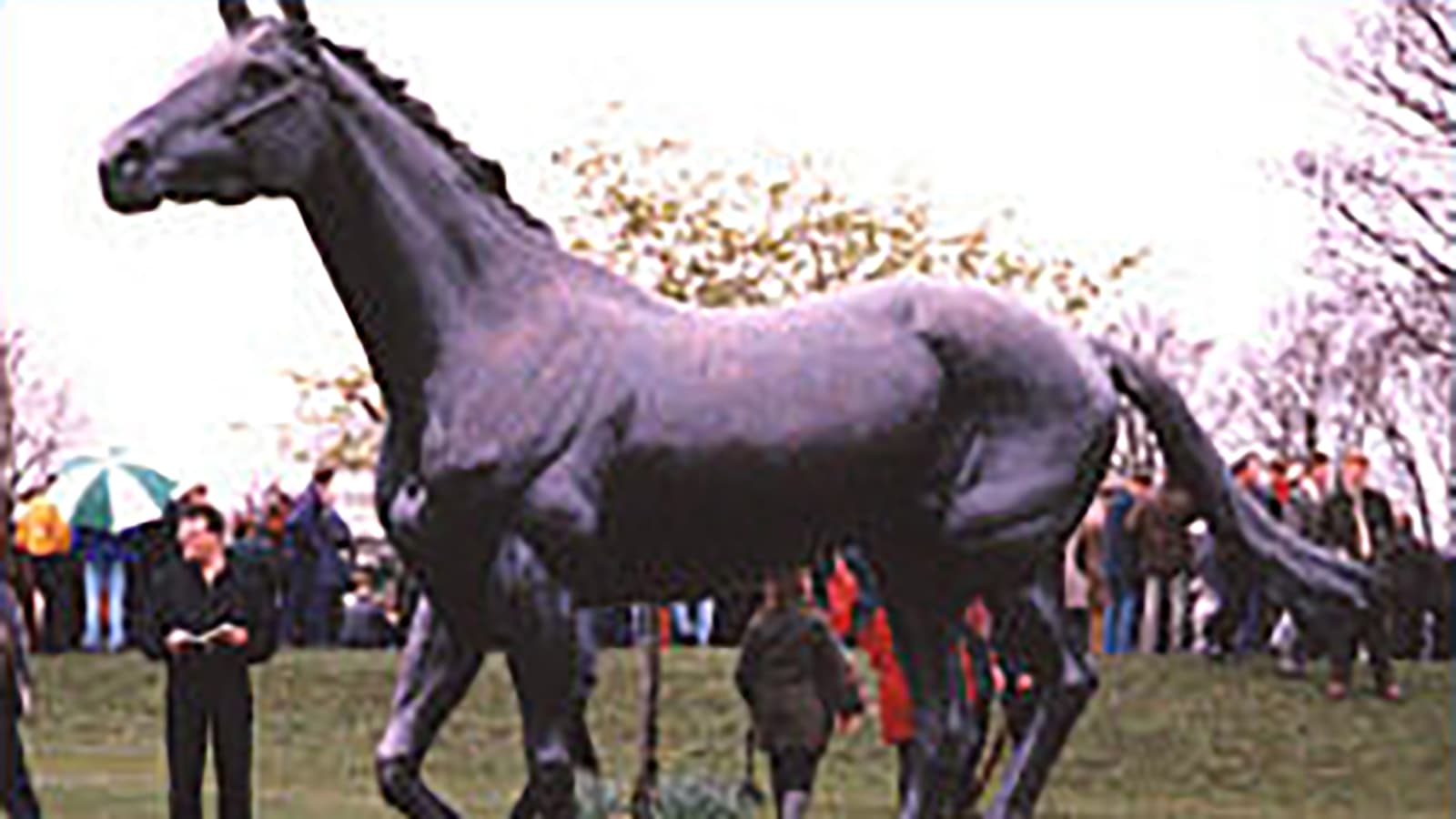 Red Rum