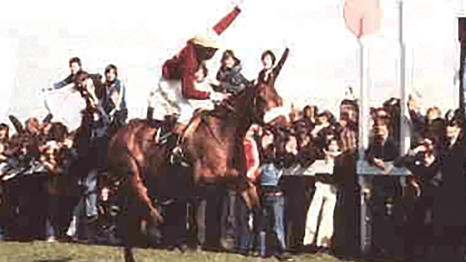 Who is the greatest Grand National winner? Tiger Roll or Red Rum