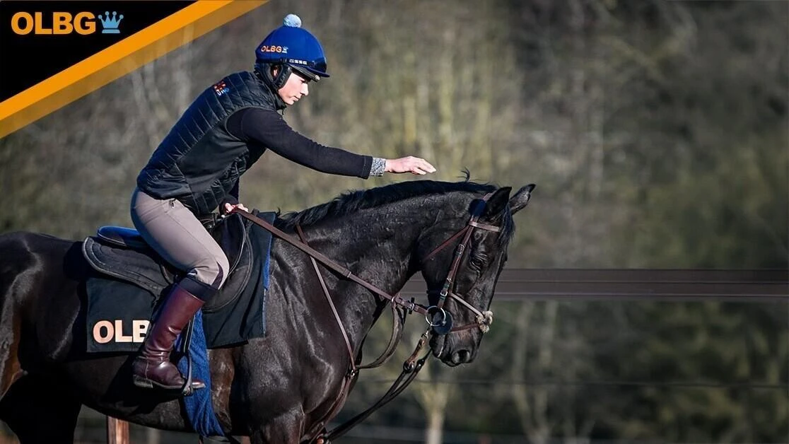 race horse washington, pictured on the gallops in October 2025