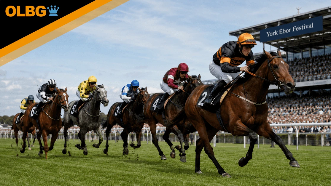 Harry's Half Million By Goffs Preview, Tips, Runners & Trends (Ebor Festival)