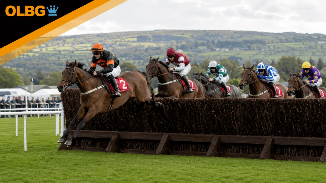 Mayo National Preview, Tips, Runners & Trends