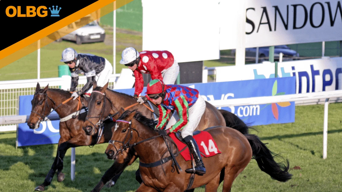 Celebration Chase Preview, Tips, Runners & Trends (Jump Finale)